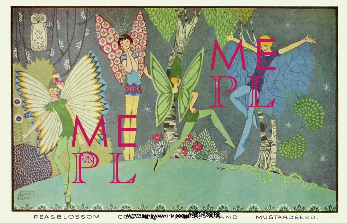 : Midsummer Night's Dream : Midsummer Night's Dream