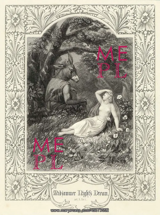  : MIDSUMMER NIGHT'S DREAM