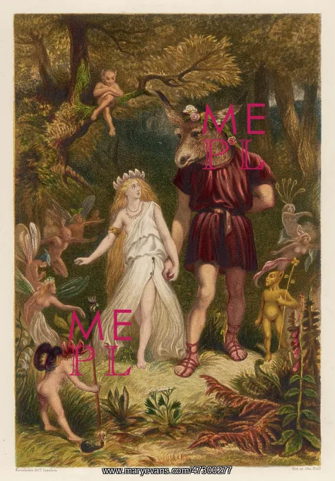 : Midsummer Night's Dream : Midsummer Night's Dream