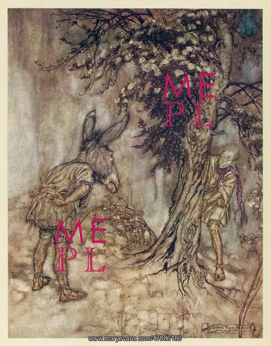 : Midsummer Nights Dream : Midsummer Nights Dream