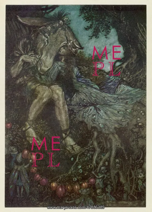 : MIDSUMMER NIGHT'S DREAM : MIDSUMMER NIGHT'S DREAM