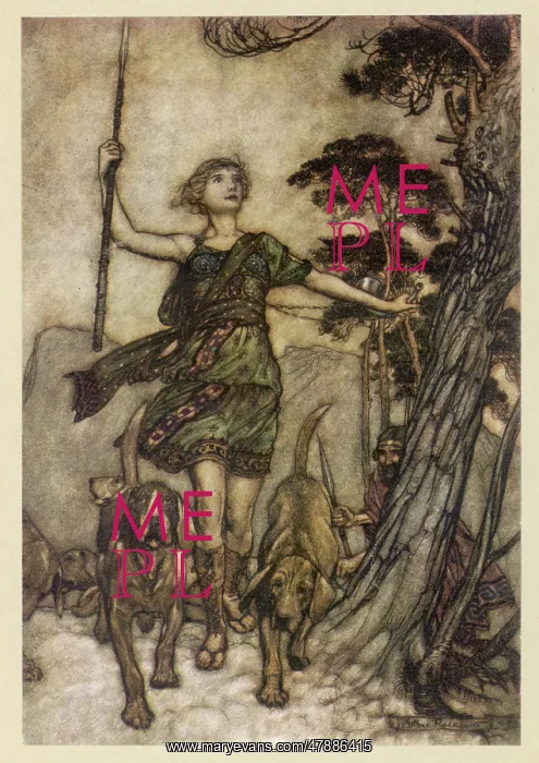 : Midsummer Night's Dream : Midsummer Night's Dream