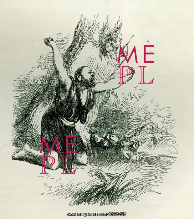 : A Midsummer Night's Dream : A Midsummer Night's Dream