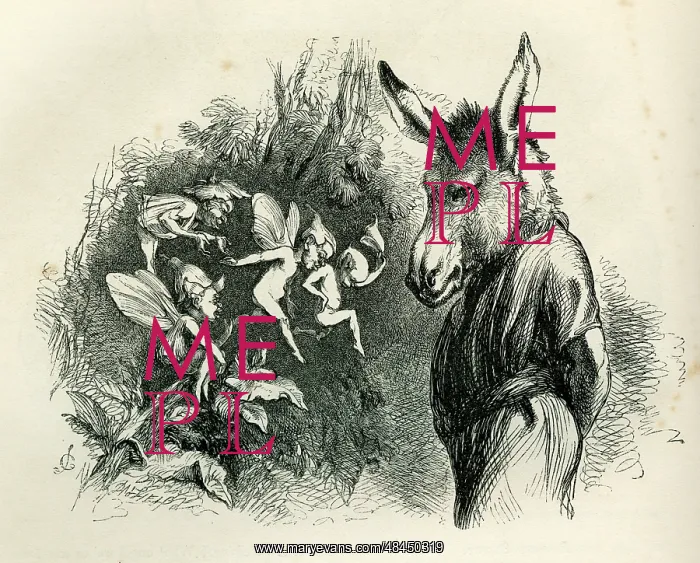 : A Midsummer Night's Dream : A Midsummer Night's Dream
