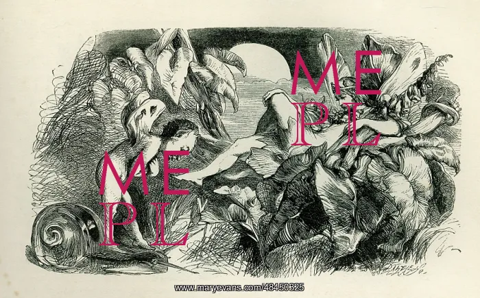 : A Midsummer Night's Dream : A Midsummer Night's Dream