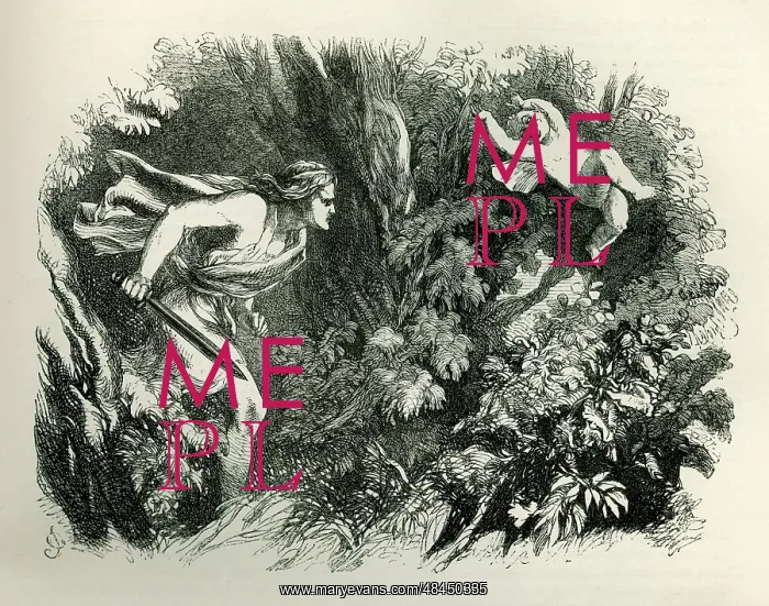 : A Midsummer Night's Dream : A Midsummer Night's Dream