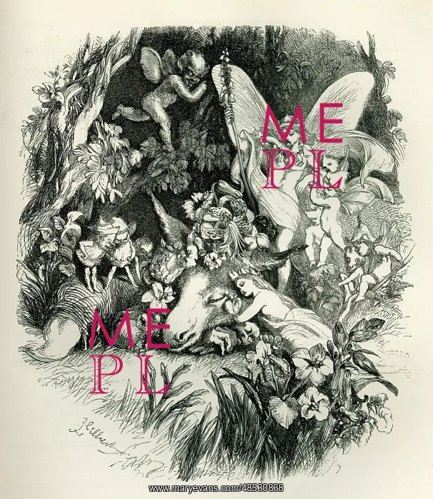 : A Midsummer Night's Dream : A Midsummer Night's Dream