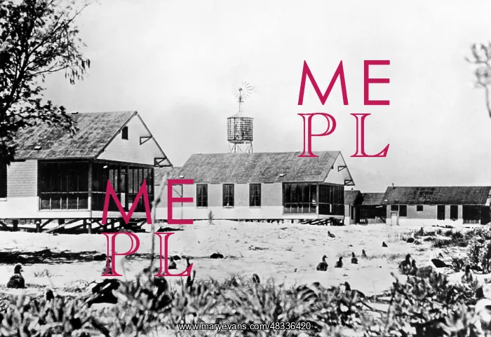 : Midway Islands, 1930s : Midway Islands, 1930s