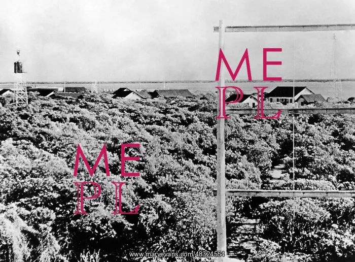 : Midway Islands, 1942 : Midway Islands, 1942