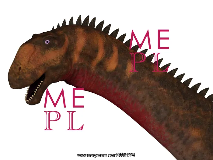 : Mierasaurus dinosaur head : Mierasaurus dinosaur head