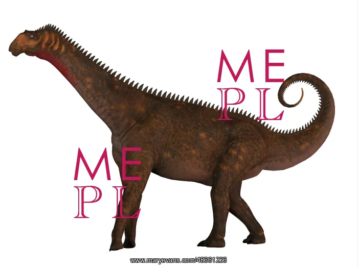: Mierasaurus dinosaur, side profile : Mierasaurus dinosaur, side profile