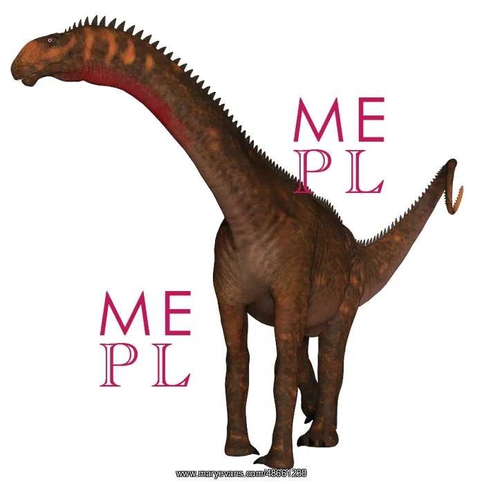 : Mierasaurus dinosaur on white background : Mierasaurus dinosaur on white background