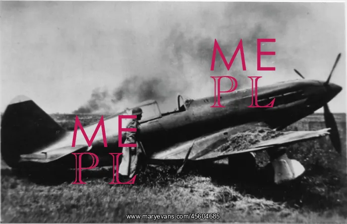 : Mig-3 -One of the new breed of fast Soviet fighters All : Mig-3 -One of the new breed of fast Soviet fighters All
