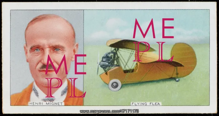 : MIGNET & FLYING FLEA : MIGNET & FLYING FLEA