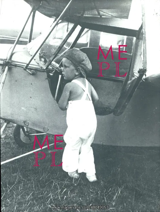 : Mignet Flying Flea : Mignet Flying Flea