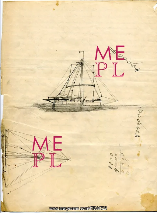  : Mignonette sketch