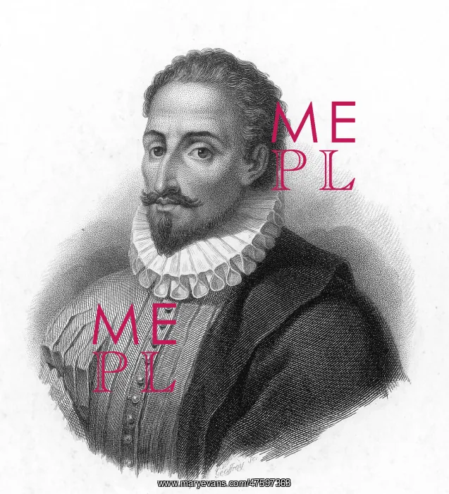 : Miguel de Cervantes, Spanish Author : Miguel de Cervantes, Spanish Author