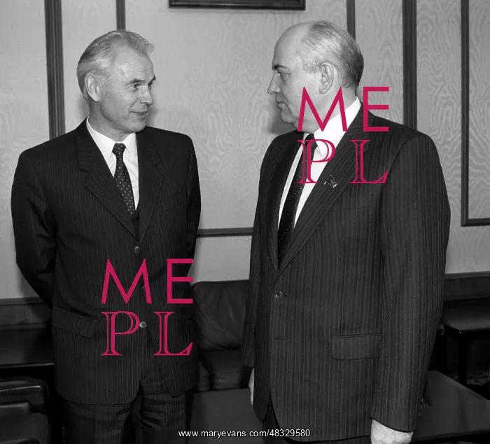 : Mikhail Gorbachev meets Hans Modrow, 1990 : Mikhail Gorbachev meets Hans Modrow, 1990