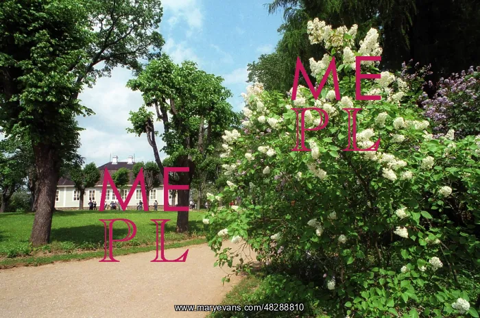 : In Mikhailovskoye, 1999 : In Mikhailovskoye, 1999