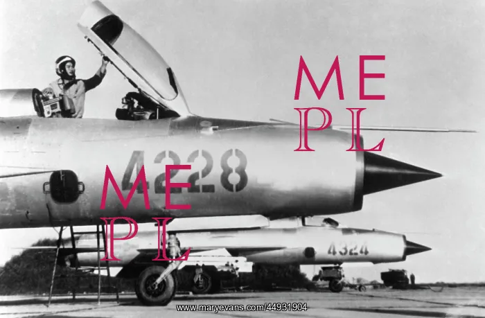 : Mikoyan MiG-21 Fishbed : Mikoyan MiG-21 Fishbed