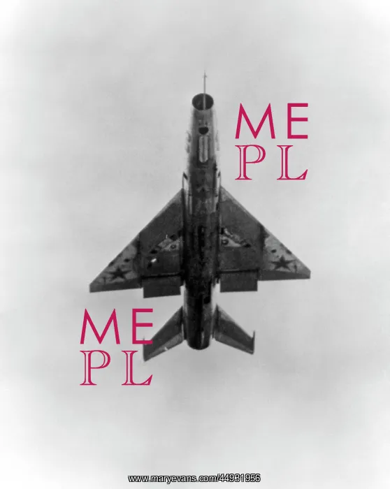 : Mikoyan MiG-21 Fishbed : Mikoyan MiG-21 Fishbed