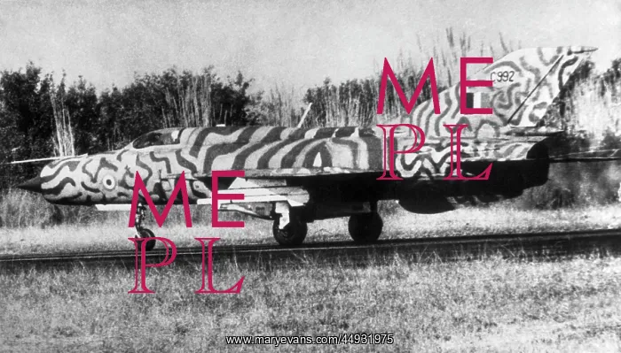 : Mikoyan MiG-21 Fishbed : Mikoyan MiG-21 Fishbed