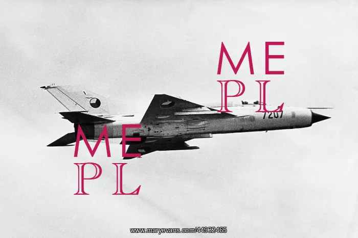 : Mikoyan MiG-21 Fishbed : Mikoyan MiG-21 Fishbed
