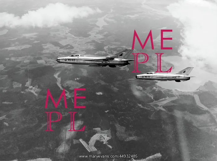 : Mikoyan MiG-21 Fishbed : Mikoyan MiG-21 Fishbed