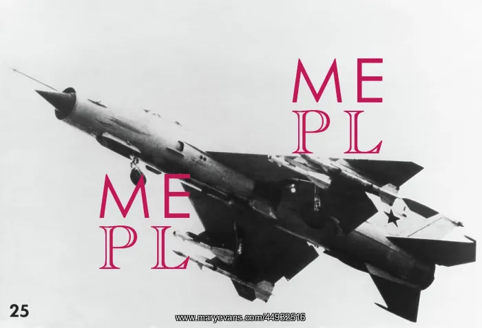 : Mikoyan MiG-21 Fishbed : Mikoyan MiG-21 Fishbed