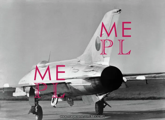  : Mikoyan MiG-21 Fishbed