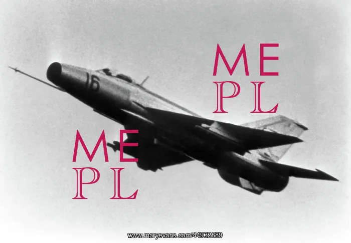 : Mikoyan MiG-21 Fishbed : Mikoyan MiG-21 Fishbed