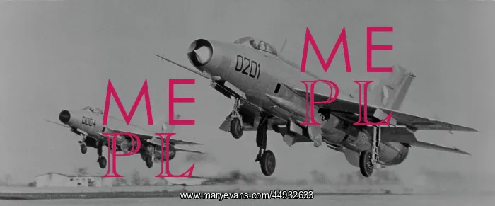 : Mikoyan MiG-21 Fishbed : Mikoyan MiG-21 Fishbed