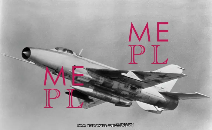 : Mikoyan MiG-21 Fishbed : Mikoyan MiG-21 Fishbed