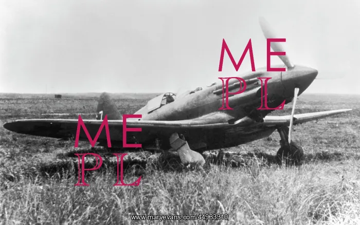 : Mikoyan MiG-3 : Mikoyan MiG-3