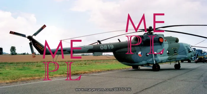 : Mil Mi-17 0819 : Mil Mi-17 0819