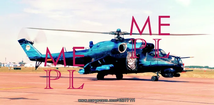 : Mil Mi-24V 7353 : Mil Mi-24V 7353