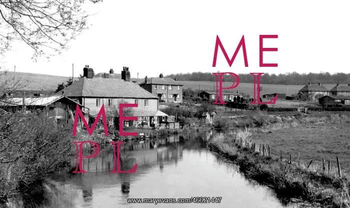  : Mildenhall, the River Kennet 1952