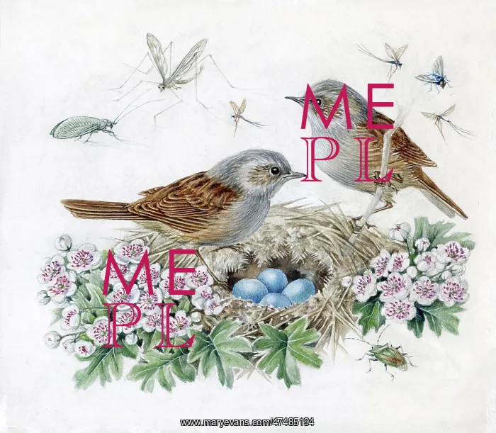  : Mildred Eldridge - In My Garden