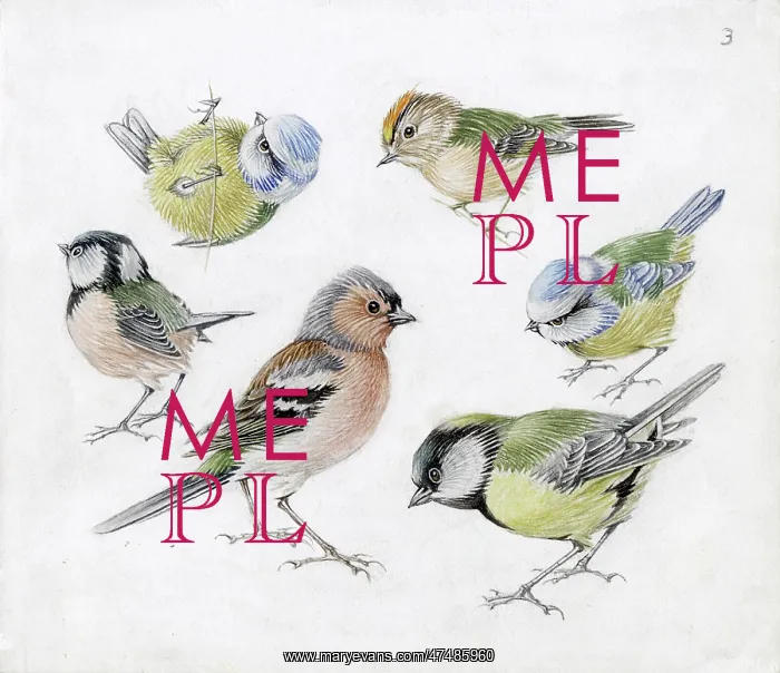  : Mildred Eldridge - In My Garden