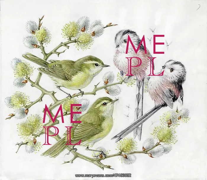  : Mildred Eldridge - In My Garden