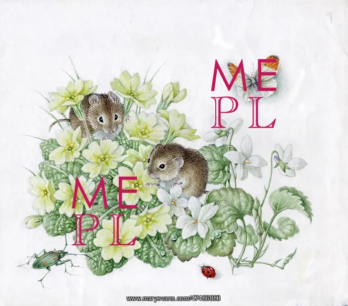  : Mildred Eldridge - In My Garden