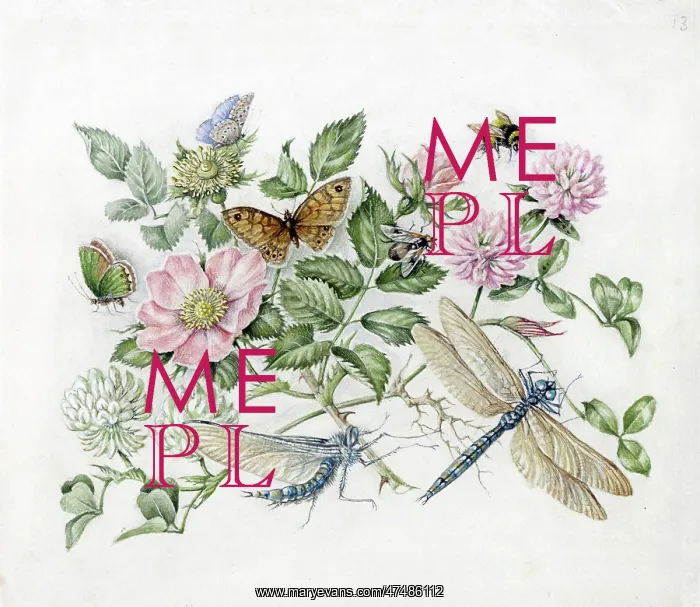  : Mildred Eldridge - In My Garden
