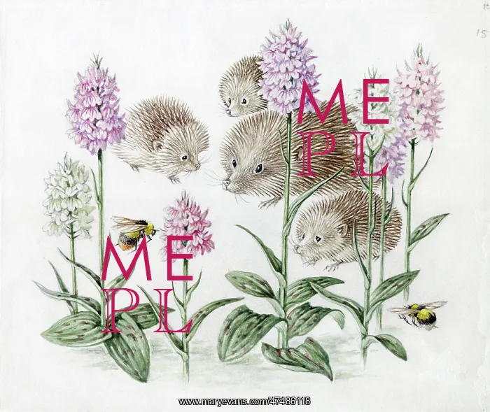  : Mildred Eldridge - In My Garden