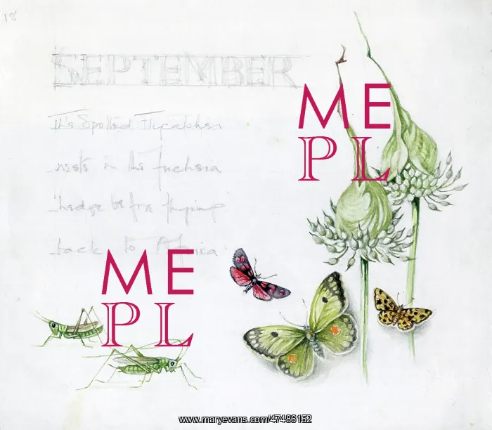  : Mildred Eldridge - In My Garden
