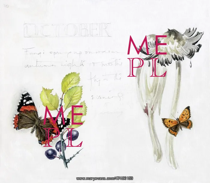  : Mildred Eldridge - In My Garden