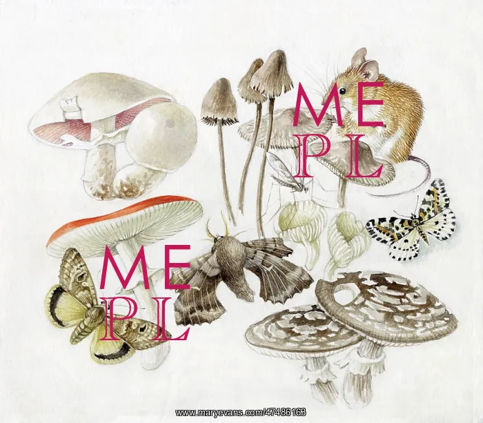  : Mildred Eldridge - In My Garden