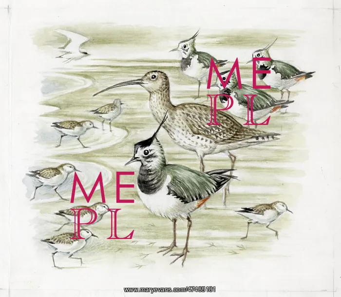  : Mildred Eldridge - The Sea Shore