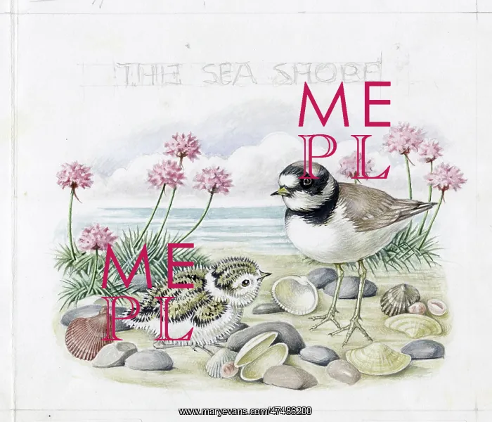  : Mildred Eldridge - The Sea Shore