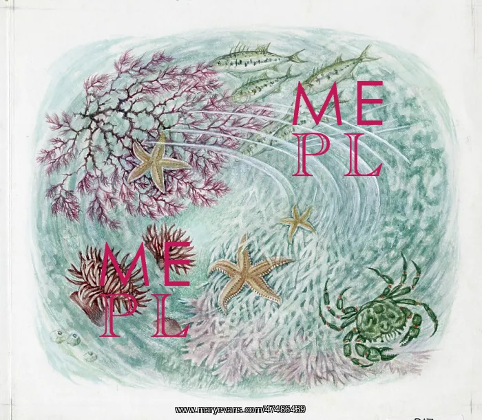  : Mildred Eldridge - The Sea Shore