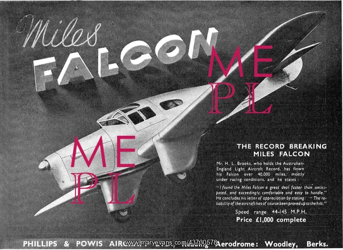 : Miles Falcon : Miles Falcon
